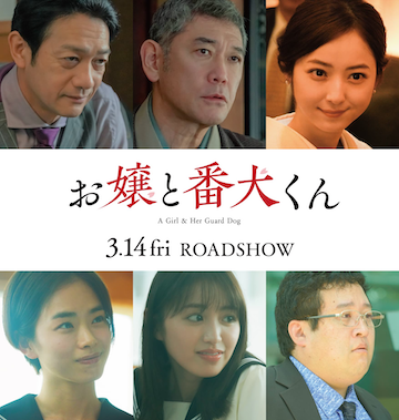 松井遥南の活動｜モデル・女優としての歩み