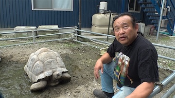 経歴と動物ビジネス