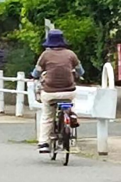 母親はどんな人で今はどうしているか