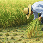 山野こづえさんが消えた｜2018年に起きた謎の行方不明事件と現在