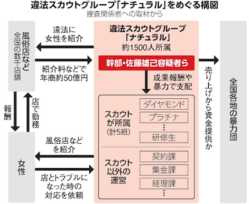 スカウトグループ、ナチュラルの組織図